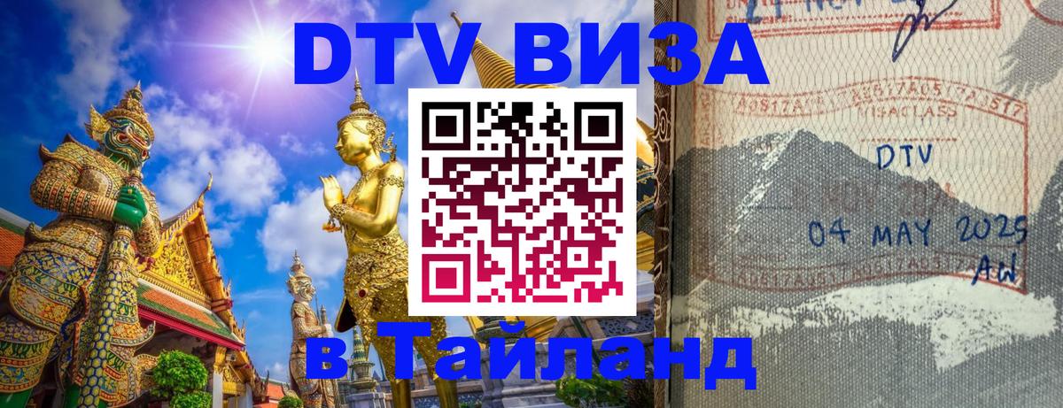 Оформление DTV визы под ключ: стоимость и тарифы, только загранпаспорт - Новочебоксарск  19.11.2025 